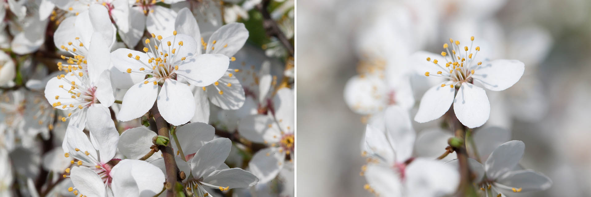 Belangrijke fotografiebegrippen